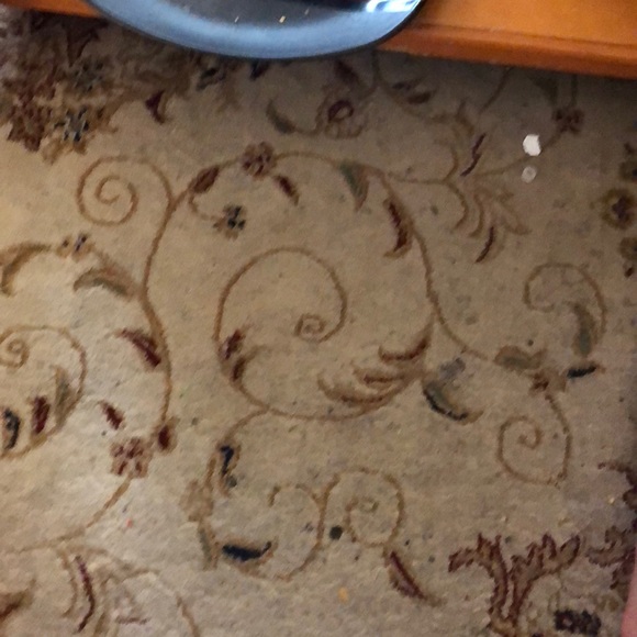 Meet your Posher, Jake - Picture 1 of 1